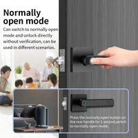 Nueva llegada Manijas de puerta Aplicación de lujo Modelo digital Ttlock Código de desbloqueo Wifi Biométrico inteligente Cerradura de huella digital de puerta