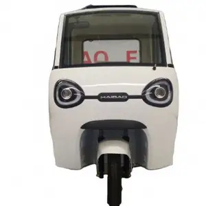 电动三轮车供应商或制造商提供的1500W残疾三轮车