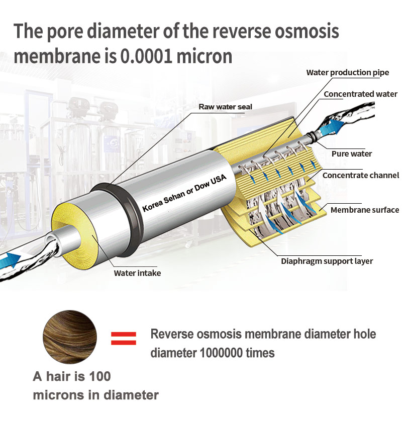 Pure Water Making Industrial Treatment RO System Filter Purification Plant Machine 500l / h Reverse Osmosis
