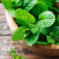 Huile essentielle de menthe poivrée OEM pure, arôme revigorant, apaisant, rafraîchissant, soutien respiratoire et digestif, huile de massage aromathérapie
