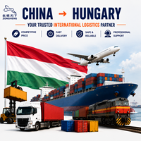 Agent d'expédition maritime et aérien DDP DHL UPS LCL FCL Express FBA vers la Hongrie, services de livraison express par camionnage et logistique