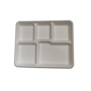 Plateau alimentaire jetable à <span class=keywords><strong>5</strong></span> compartiments en pulpe <span class=keywords><strong>de</strong></span> canne à sucre, biodégradable et écologique, pour le marché des grossistes, <span class=keywords><strong>de</strong></span> bonne qualité - Product Image 5