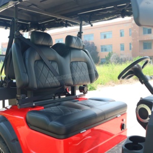 Voiturette de golf électrique monoplace en métal avec personnalisation arc-en-ciel, moteur AC 7,5 kW, 6 places, batterie lithium 72 V, homologuée CEE GCC <span class=keywords><strong>pour</strong></span> <span class=keywords><strong>les</strong></span> terrains de golf - Product Image 6