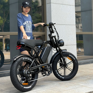 X80Pro Fatbike 20*4 Zoll 2-Sitzer E-Bike EU-Lager Mountainbike Offroad X80 Pro Ebike X80 Pro Fatbike V20 Doppelsitzer 250W - Product Image 6
