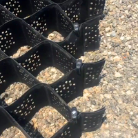 Géocellules alvéolaires en plastique HDPE Honghao pour allées et grilles de gravier TGLG-100-330, épaisseur 0,7-3 mm, pour murs de soutènement de terrasses 2-6 m