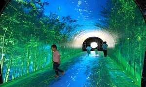 IP65 P2แบบไดนามิก <span class=keywords><strong>LED</strong></span> แสดงผลบนพื้นแบบโต้ตอบกันน้ำได้3ปีโฆษณาห้างสรรพสินค้าในร่ม - Product Image 2