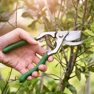 Garden Scissors Garden Tool Carbon Steel Blade Non-stick Coating Stay Sharp Garden Fruit Trees Bypass Shears Pruner Scissors