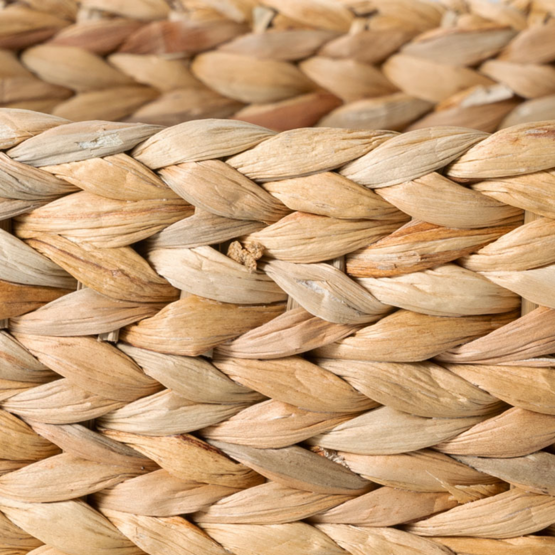 ธรรมชาติ