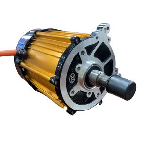 Cina fabbrica di produzione del motore per triciclo elettrico varia di watt e volt su misura magnete oro motori - Product Image 1