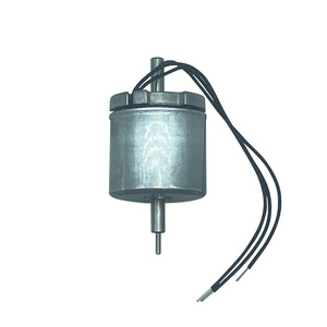 Motor CC sin escobillas 2824B de 36V con imán permanente para instrumentos cosméticos - Product Image 3