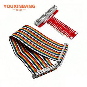 תואם לאביזרי Raspberry Pi B+ לוח הרחבה מסוג T-Type GPIO + כבל סרט 40P - Product Image 6