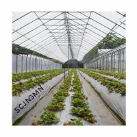 Serre tunnel gothique grande taille à succès, avec film plastique PE anti-âge, montage facile pour légumes de jardin