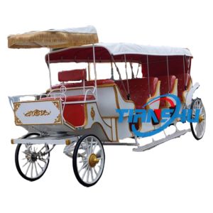 Carrozza elettrica per trasporto speciale di 2/<span class=keywords><strong>3</strong></span> fila personalizzata carrozza trainata a cavallo di nuovo stile moderna - Product Image 1