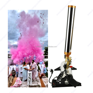 Bombe fumée rose bleu garçon fille Tnt couleur poudre <span class=keywords><strong>confettis</strong></span> <span class=keywords><strong>canon</strong></span> télécommande électrique glace sèche métal Machine pour le sexe révéler - Product Image 2