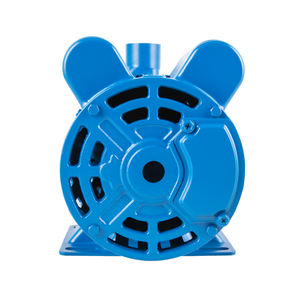 Pompe centrifuge horizontale à haut débit électrique monophasée à induction 4 pôles 2 pôles Générateur Jardin Ferme Irrigation 1,5 kW 2 ch - Product Image 3