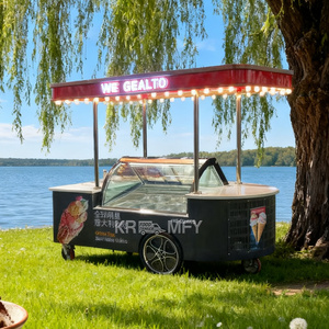OEM Electric Street Mobile Burger Ice Cream Pizza Hot Dog Fast Snack Cart Fiberglass Mini Food Tricycle - Product Image 2