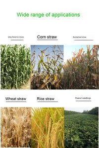 เครื่องตัดหญ้าขนาดเล็ก - Product Image 6