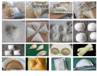 110V/220V petit Samosa faisant la Machine Empanadas Machine grande taille Pelmeni boulette fabricant Wonton viande tarte faisant la Machine automatique