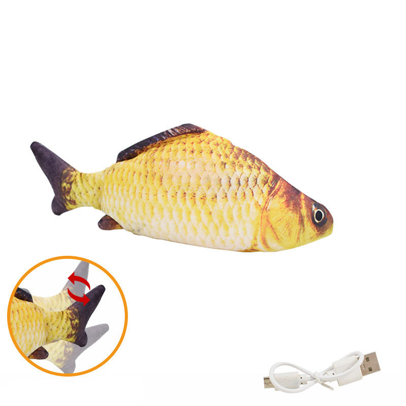 3.ปลาคาร์พ crucian