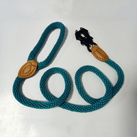 Laisse pour chien en nylon robuste et durable avec mousqueton pivotant, laisse de sécurité personnalisée pour animaux de compagnie