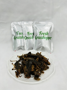 แมลงที่กินได้ที่เป็นมิตรต่อสิ่งแวดล้อมกำลังขายดี ตั๊กแตน จิ้งจก <span class=keywords><strong>ปลา</strong></span> และซาลาแมนเดอร์ เป็นอาหารที่มีประโยชน์ต่อสุขภาพ - Product Image 1