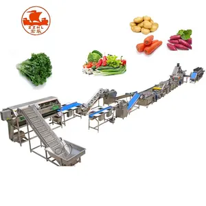 frozen fruit and vegetable production line vegetable and fruit processing line fruit and vegetable packaging line
