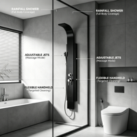 Panneau de douche mural en acier inoxydable 304 avec noyau de valve en céramique noire, raccord sanitaire et jets de massage pour usage hôtelier