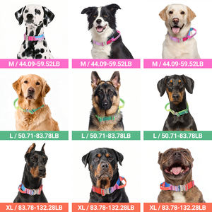 <span class=keywords><strong>Collar</strong></span> Ajustable para Perro Resistente con Hebilla de Metal, <span class=keywords><strong>Collar</strong></span> de Diseño con Nuevo Color Degradado, <span class=keywords><strong>Collar</strong></span> Táctico de Nailon para Perro - Product Image 2