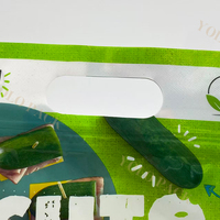 Fenêtre d'observation en plastique Shopping usage industriel avec poignée à fermeture éclair emballage de produits frais pour sacs de légumes concombre