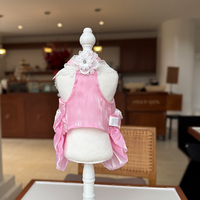 Robe de princesse de luxe en dentelle pour chien, jupe douce pour petits chiens et chats, robe de soirée respirante pour chiot, vêtements mignons pour chat