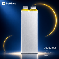 BATTERIE LI-ION POLYMERES BATTIVUS 16000mAh 3.7V 59.2Wh, cellule en pochette 74x170mm, rechargeable pour stockage d'énergie solaire, alimentation de secours, OEM