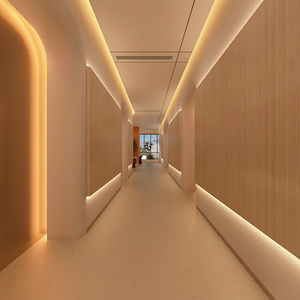 RAYMATES Tira de Luz COB 1600LED de Alta Calidad 3000K 5 Filas 40W 10M Longitud IP67 Clasificación DC24V Entrada 40W luz LED COB - Product Image 5