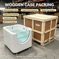 Baignoire spa portable moderne en fibre de verre/PVC certifiée ASTM pour bébé, autoportante, avec purification à l'ozone pour hydrothérapie