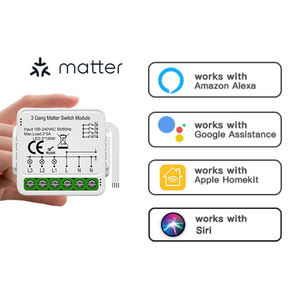LangYeao Matter WIFI Smart <span class=keywords><strong>Home</strong></span> Apple Homekit Alexa Google pris en charge 10A 3gang Diy Timer Wifi Breaker Matter Smart Switch - Product Image 2