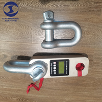 Dynamomètre électronique marin 20T, cellule de pesée sans fil pour test de sac d'eau