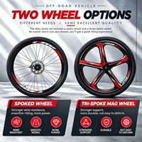 Vélo de montagne électrique pliable haute vitesse 26 pouces 250W 36V 8Ah/10Ah, suspension intégrale, 21 vitesses, freins à disque mécaniques, haute teneur en carbone