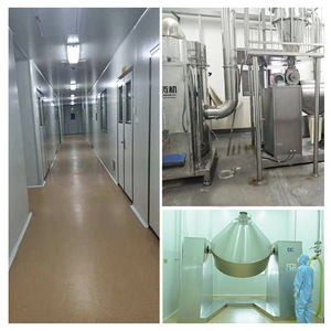 EU NOP Zertifiziert Organische Pulver Panax Koreanischen Roten Ginseng Extrakt - Product Image 6
