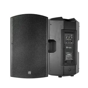 Accuracy Pro Audio CBZ15D6 15"Professional Plastic Speaker Class D High RMS Power Line Array Speakers Professional Speakers