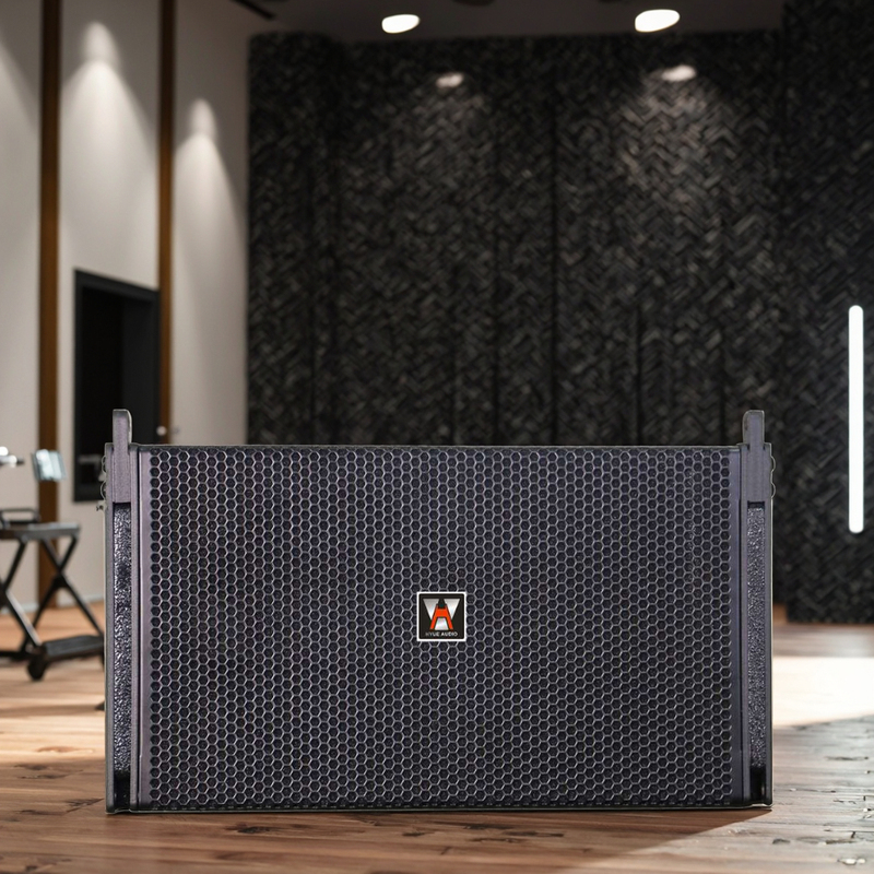 Professional Concert Stage Sound System RA101