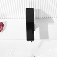 Robinet de lavabo en acier inoxydable noir