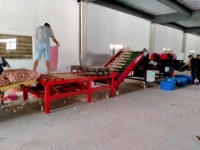 Fabrieksleverancier van fruit- en groentesorteer- en -gradeermachines, ui- en knoflooksorteer- en -reinigingsmachines te koop