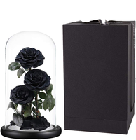 Rose rouge véritable préservée sous cloche en verre, rose éternelle, fleur pour toujours, cadeau de Saint-Valentin, cadeau d'anniversaire pour petite amie, décoration de la maison