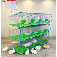 Système d'élevage de lapins galvanisé robuste pour fermes commerciales avec compartiment de nidification intégré et surface de nettoyage facile
