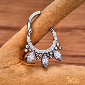 ASTM F136 titanio oreja PIERC en forma de abanico y lateral CZ anillo aro nariz anillos con bisagras Clicker pendiente Labret Tragus anillo cuerpo Piercing - Product Image 6