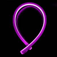 Bande lumineuse LED flexible RGBW personnalisable avec contrôle DMX512, étanche IP67, lumière néon pixel pour l'éclairage paysager des parcs