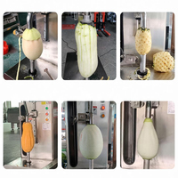 Automatische industriële meloen schilmachine met dubbele kop, van roestvrij staal, voor papaya en wintermeloen, geschikt voor voedselverwerkingsbedrijven