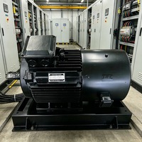 Éolienne verticale à aimant permanent Enning 5 kW, générateur synchrone silencieux, protection IP68, 48 Vca-1140 Vca