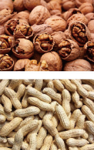 Línea de procesamiento completo de frutos secos, máquina de procesamiento de macadama, avellanas y almendra - Product Image 3