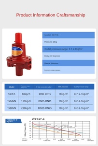 Vanne de sécurité pour <span class=keywords><strong>gaz</strong></span> GPL, corps en laiton, régulateur réglable, vanne de coupure de sécurité pour bouteilles de <span class=keywords><strong>gaz</strong></span> domestiques et usage industriel - Product Image 4