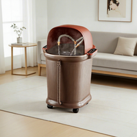 Bain de pieds massant multifonctionnel à température contrôlée DEBEI ZY-808 avec fonction musicale, électrique filaire, 4,6 kg, pour massage des pieds